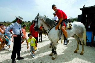 Visita la ganadería Torrestrella