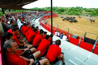 Visitantes en la plaza de toros de Los Alburejos A campo abierto